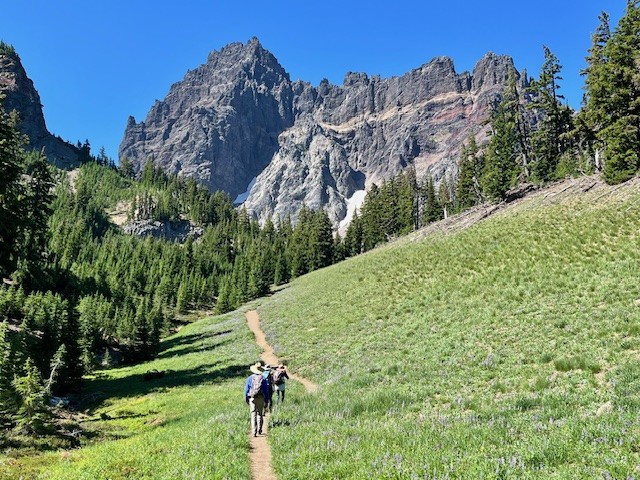 Canyon Meadows