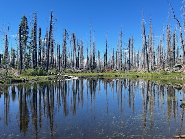 Collier Glacier