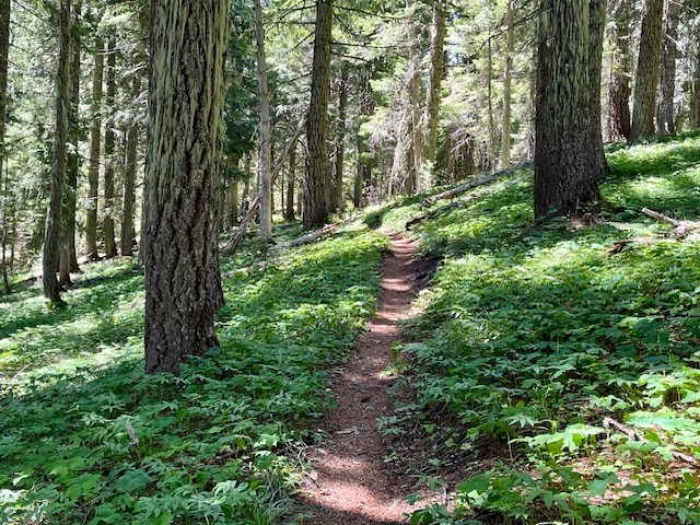 Patjens Lakes